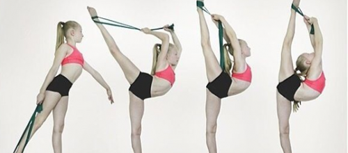 Flexibilidad vs. Elasticidad